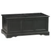 Carolina Classics Camden Blanket Chest, Antique Black