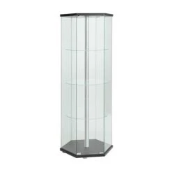 Bowery Hill Contemporary Wood Glass Hexagonal Curio Cabinet In Black And Chrome