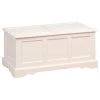 Carolina Classics Camden Blanket Chest, Antique Ivory